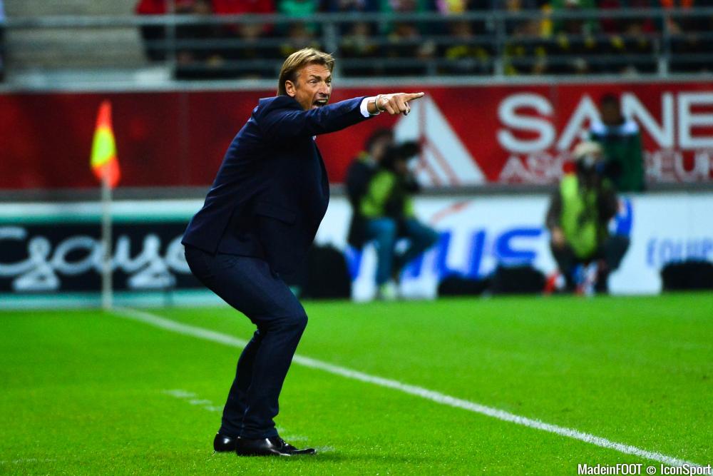 Hervé Renard (LOSC) garde confiance en son effectif.