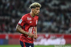 Malcuit va quitter Lille