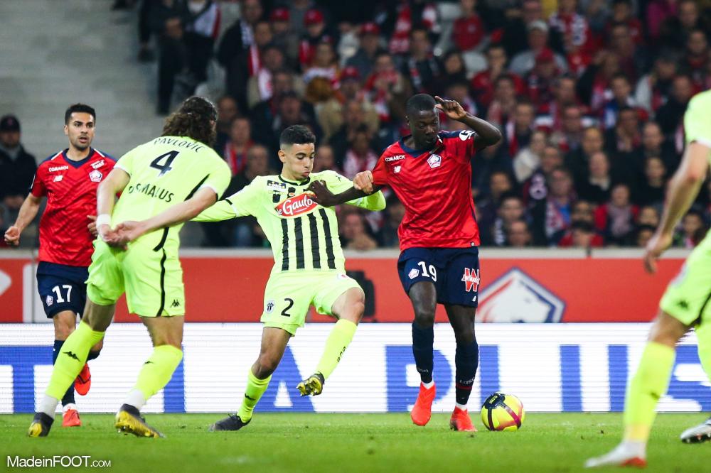 Photos Ligue 1 - 18/05/2019 21:00 : Lille - Angers