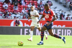 Jonathan David, attaquant du LOSC