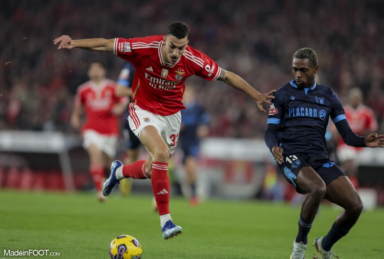 Mercato - Le LOSC sur les traces d'un attaquant du Benfica !