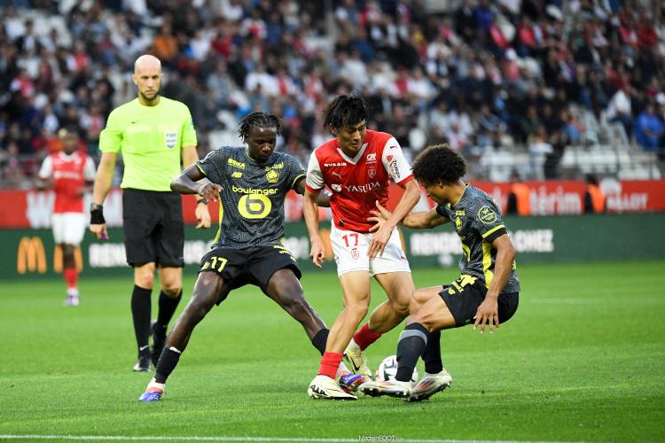 LOSC - Un Dogue sort du silence après avoir séché le rassemblement de sa sélection