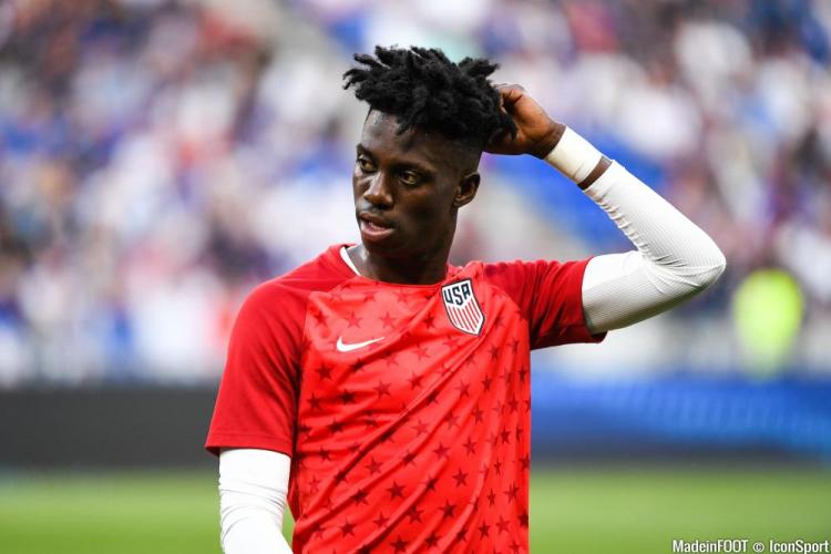LOSC - Quel programme en sélection pour les internationaux lillois ?
